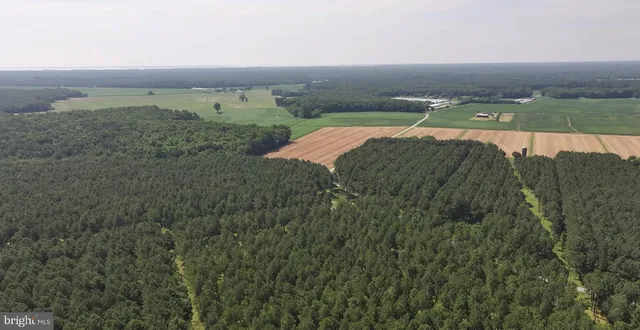 a view of a yard with an outdoor space