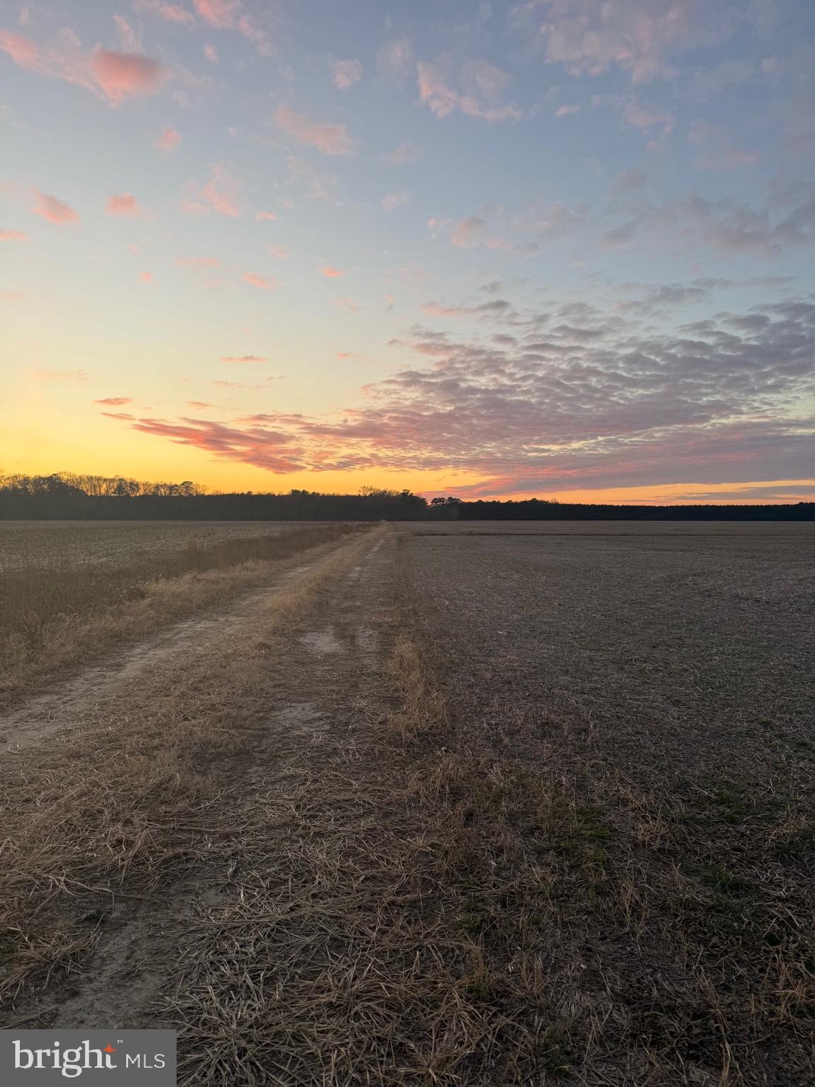 535 Critcher Road Pocomoke City, MD 21851 - Photo 10 of 12