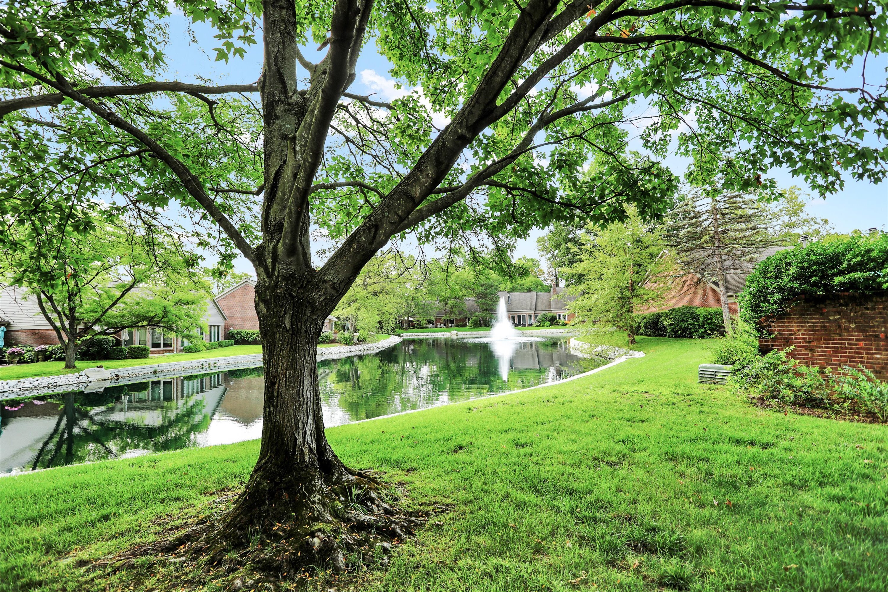 8573 Olde Mill Trace Indianapolis, IN 46260 - Photo 60 of 63