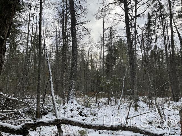 545 South Rd Skandia Mi 49885 Road Skandia, MI 49885 - Photo 15 of 38
