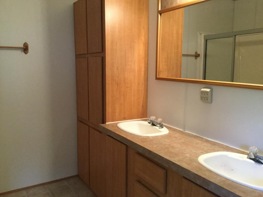 21645 Tranbarger Road Bristol, VA 24202 - Photo 14 of 25 Double Vanity