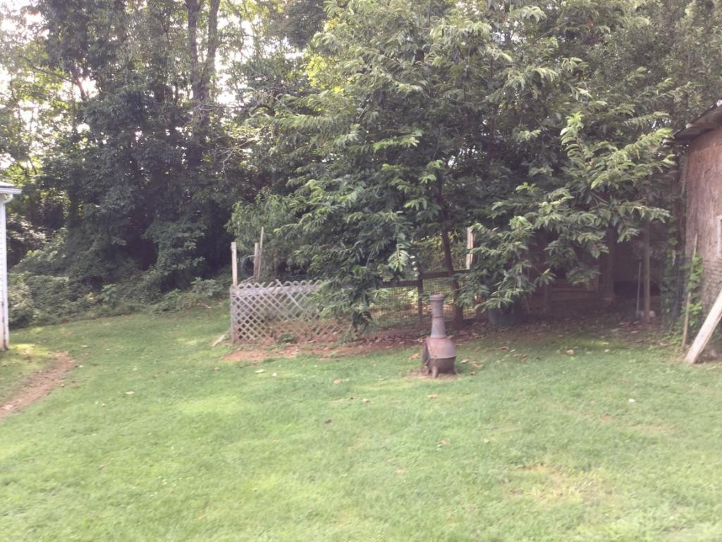 21645 Tranbarger Road Bristol, VA 24202 - Photo 23 of 25 Back Yard