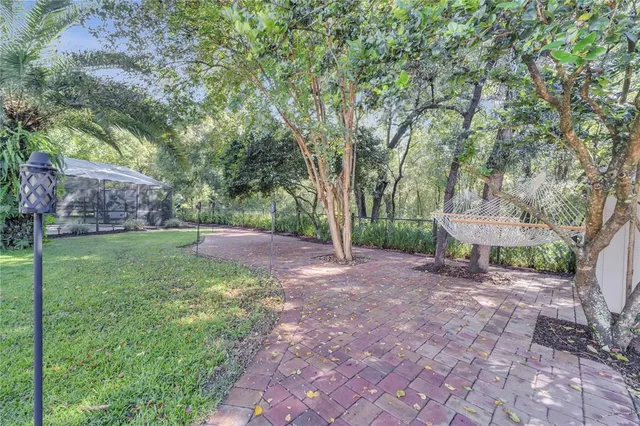a view of a backyard with a tree