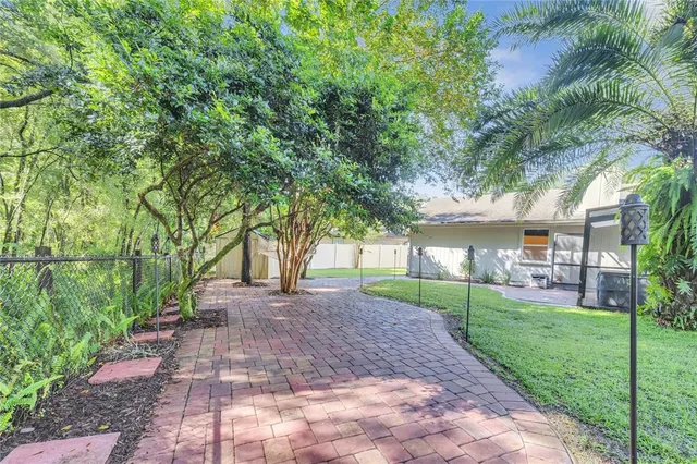 a view of a yard with plants and trees