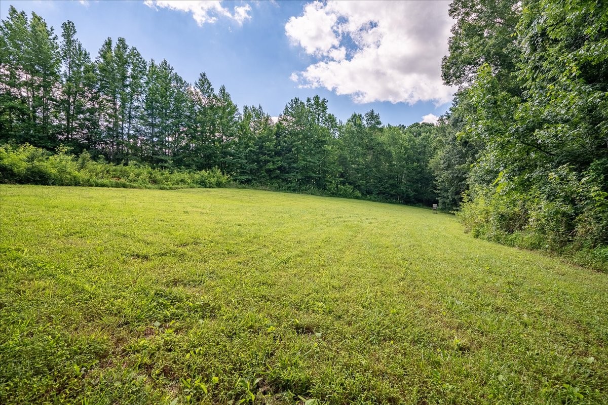 1630 Johnson Branch Road Pulaski, TN 38478 - Photo 4 of 43