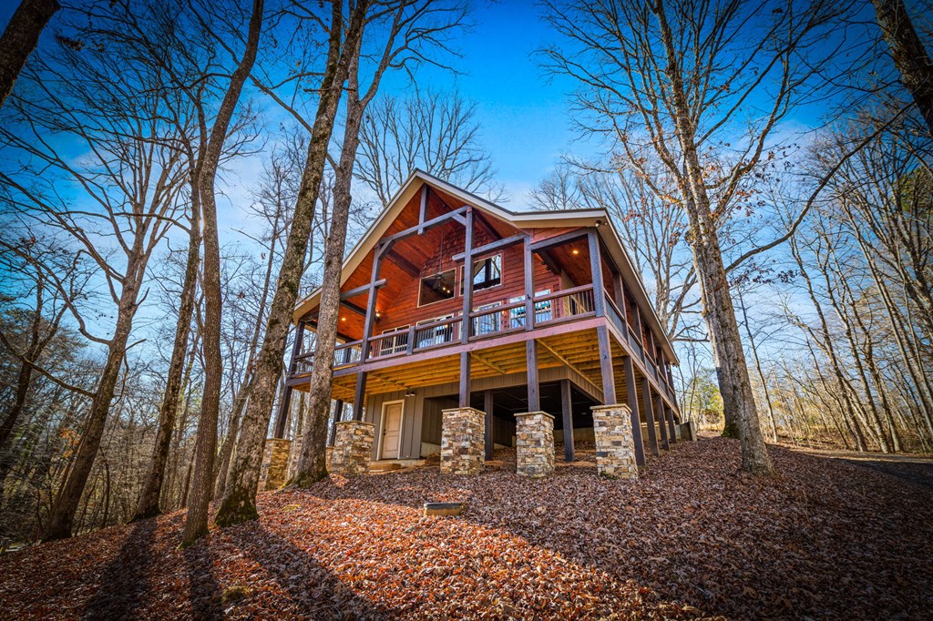 139 White Oak Drive Blue Ridge, GA 30513 - Photo 53 of 59