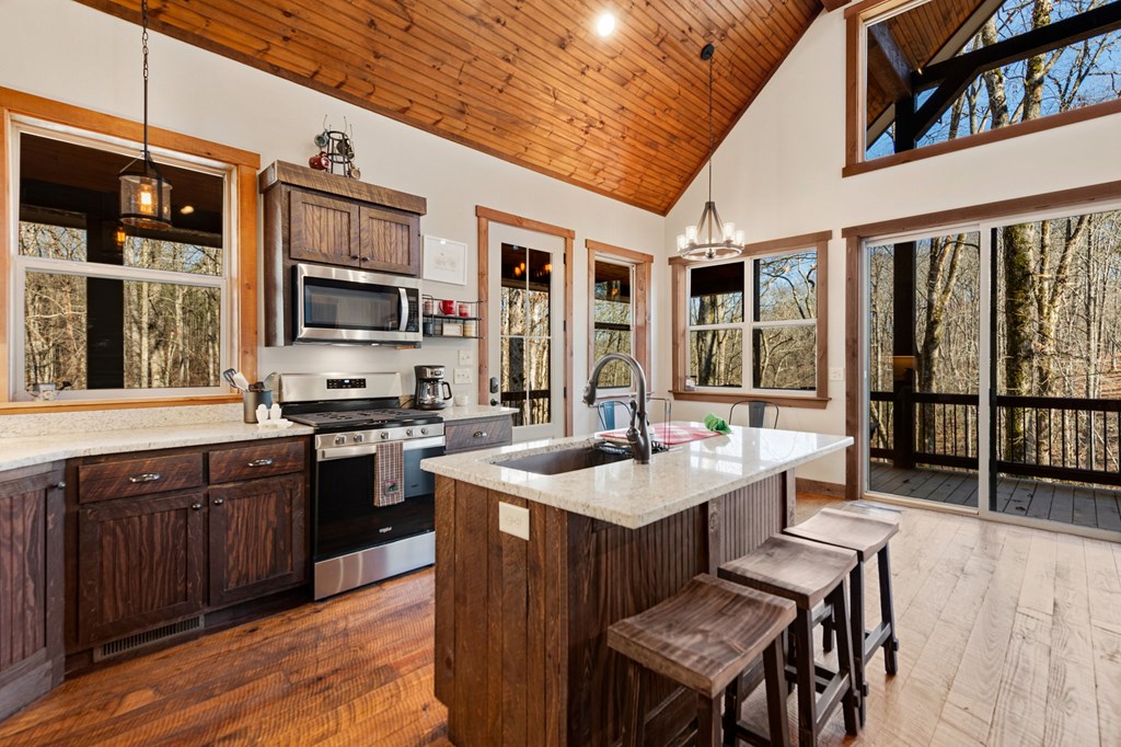 139 White Oak Drive Blue Ridge, GA 30513 - Photo 10 of 59