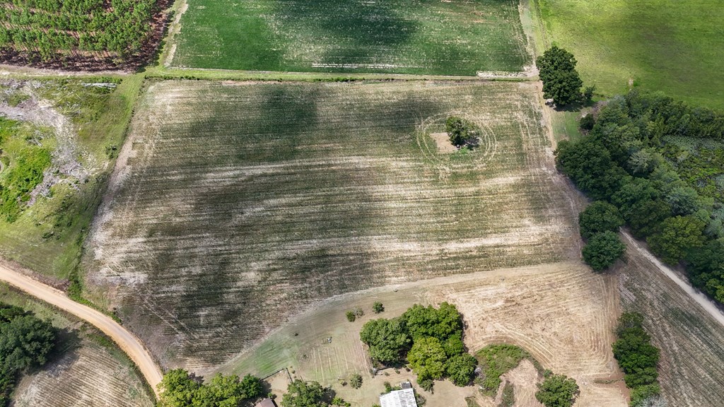 0 Price Road Slocomb, AL 36375 - Photo 7 of 13