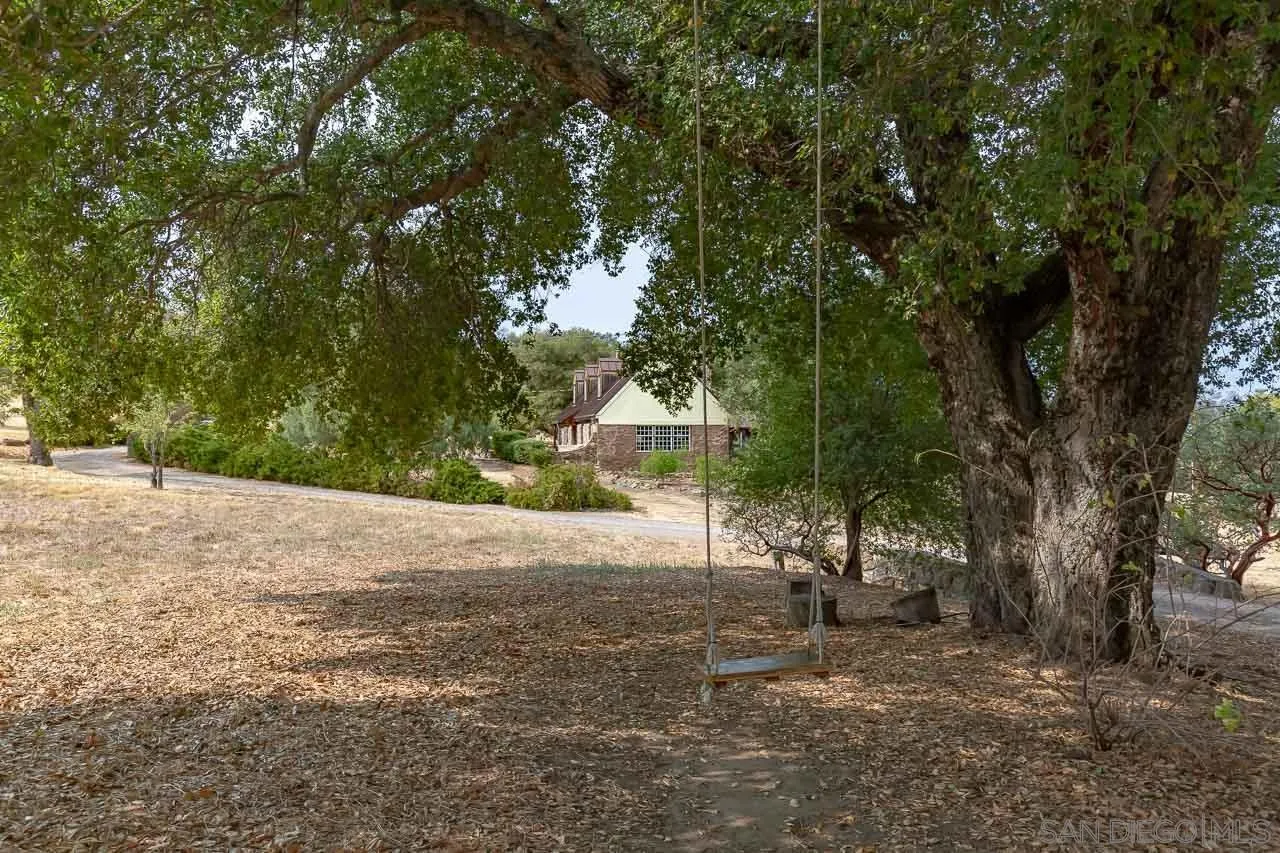 3754 Pine Hills Road Julian, CA 92036 - Photo 31 of 39 a view of a yard with plants and trees