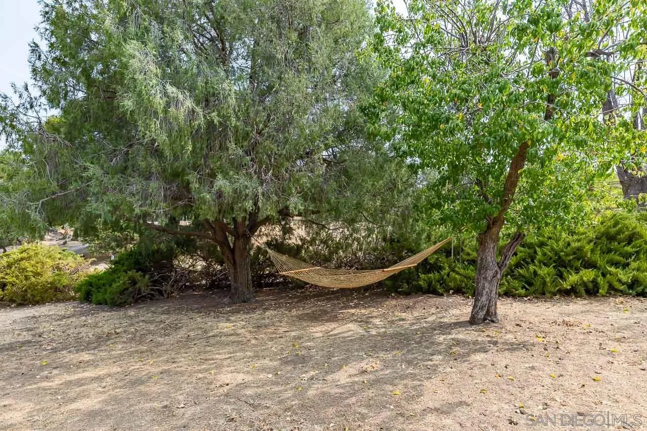 3754 Pine Hills Road Julian, CA 92036 - Photo 33 of 39 a view of a backyard with plants and large trees