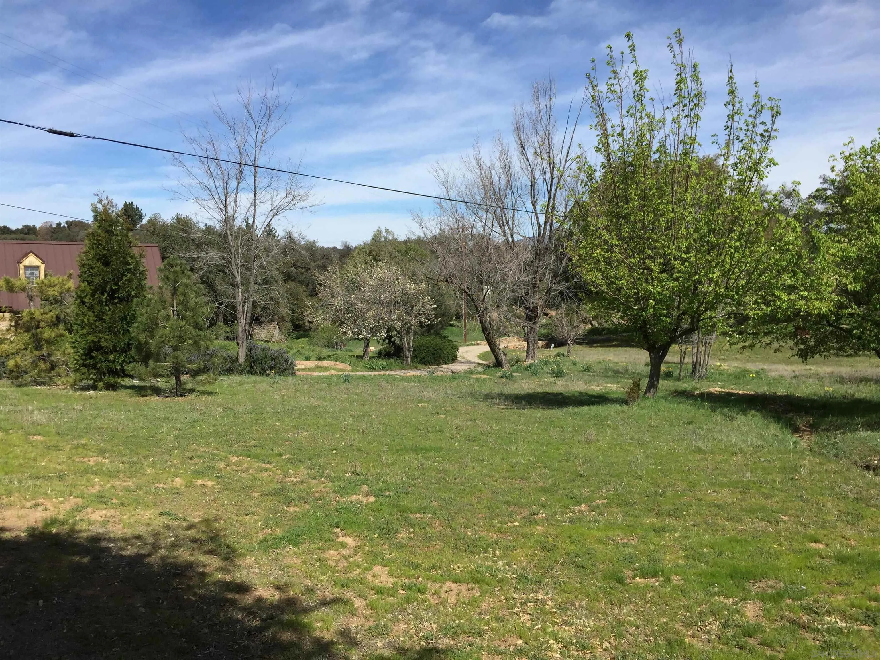 3754 Pine Hills Road Julian, CA 92036 - Photo 35 of 39 a view of a field with an trees