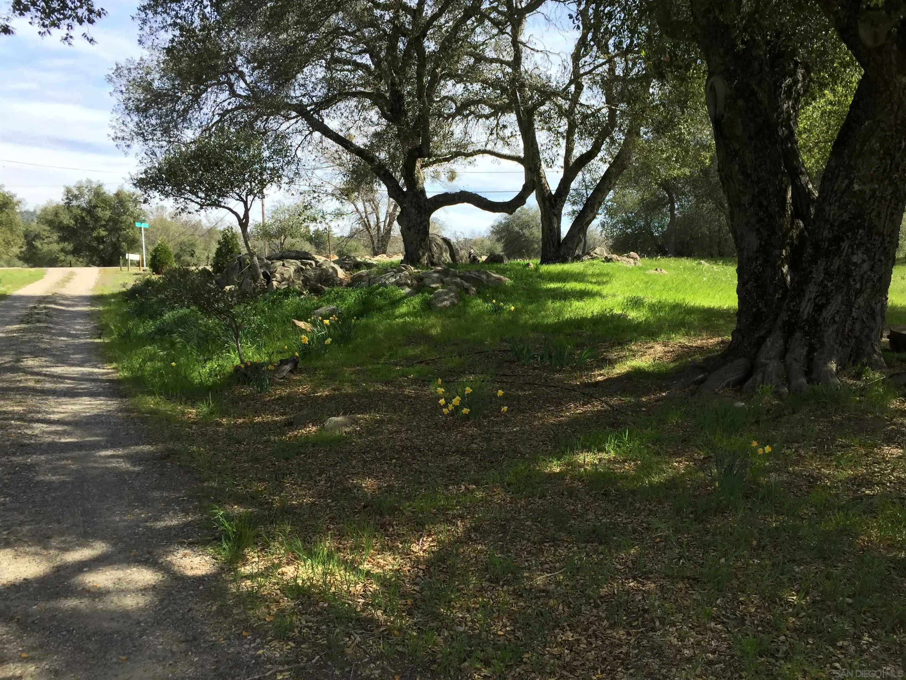 3754 Pine Hills Road Julian, CA 92036 - Photo 36 of 39 a view of a trees with a yard