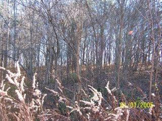 5486 Rough Creek Road London, KY 40744 - Photo 1 of 7 Photo 1