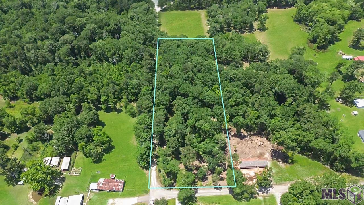 Tract C Picou Road Maurepas, LA 70449 - Photo 10 of 10