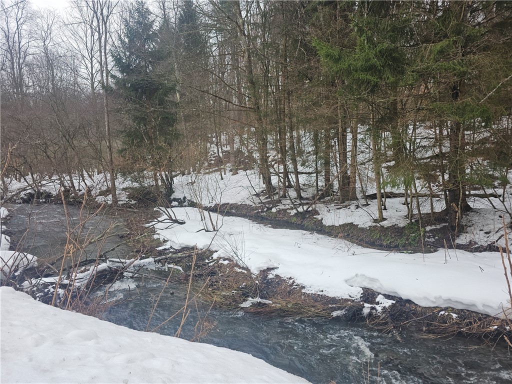 Bates Road Gerry, NY 14740 - Photo 11 of 14