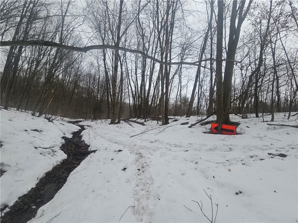 Bates Road Gerry, NY 14740 - Photo 12 of 14