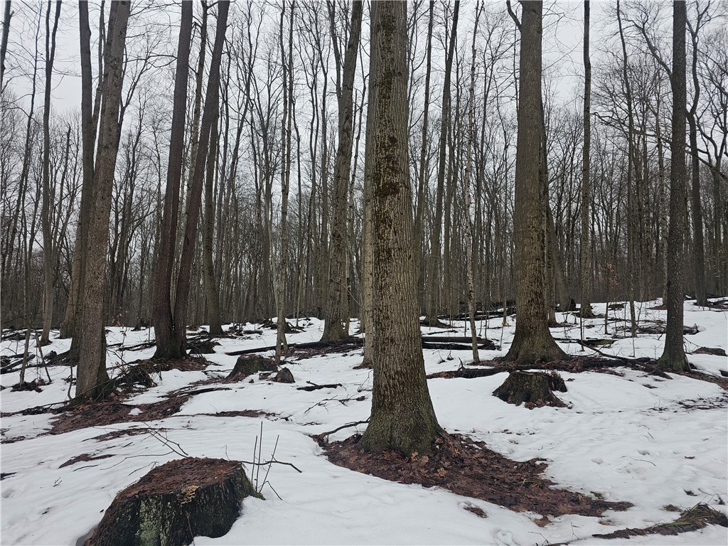 Bates Road Gerry, NY 14740 - Photo 13 of 14