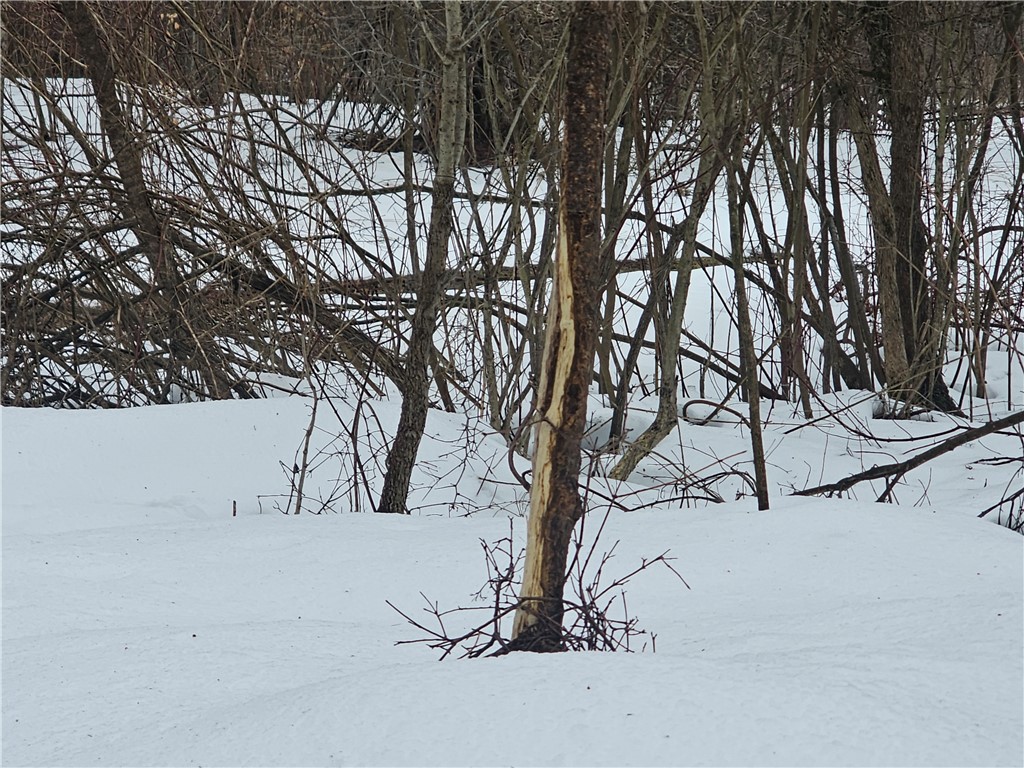 Bates Road Gerry, NY 14740 - Photo 14 of 14