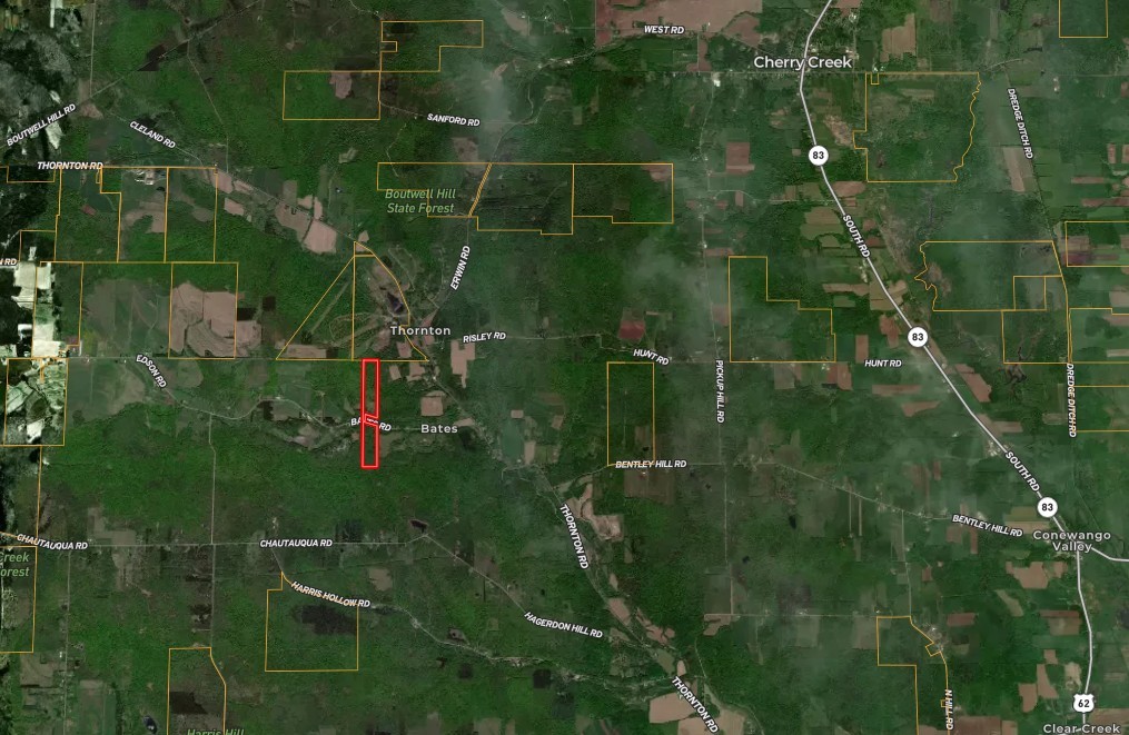 Bates Road Gerry, NY 14740 - Photo 4 of 14