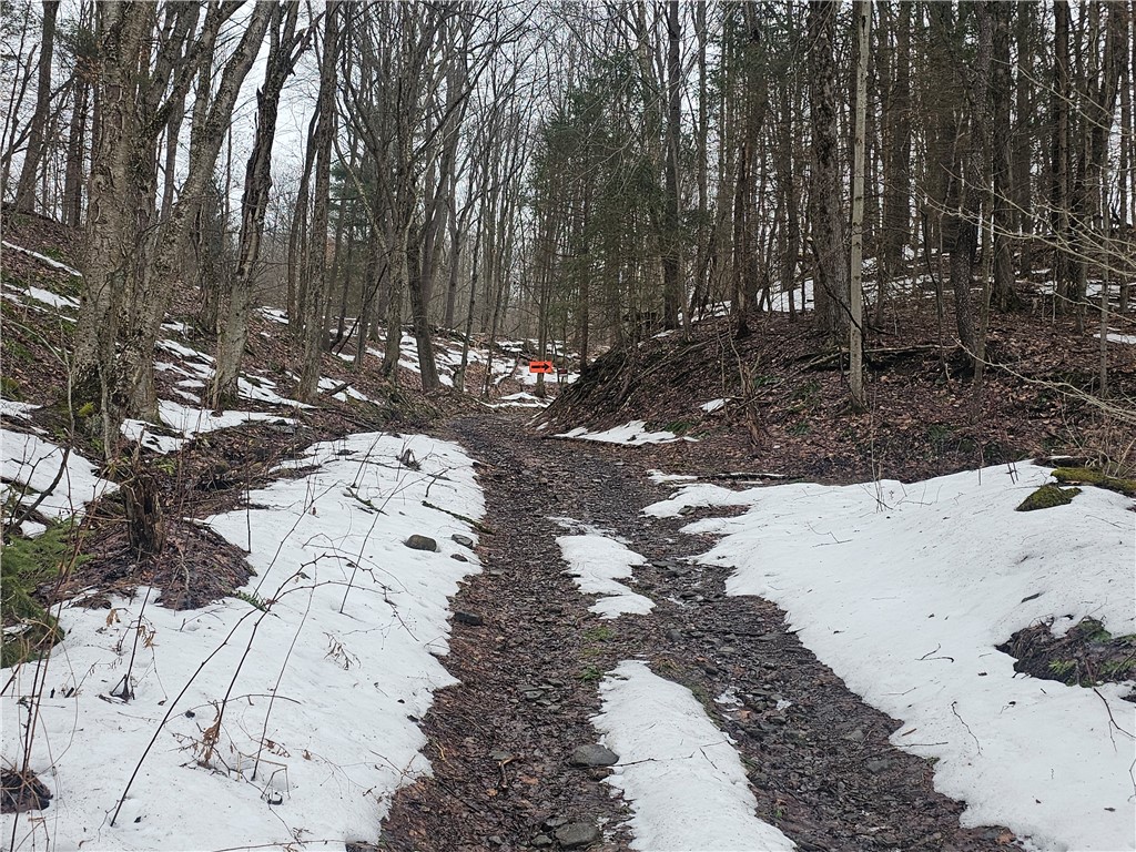 Bates Road Gerry, NY 14740 - Photo 9 of 14