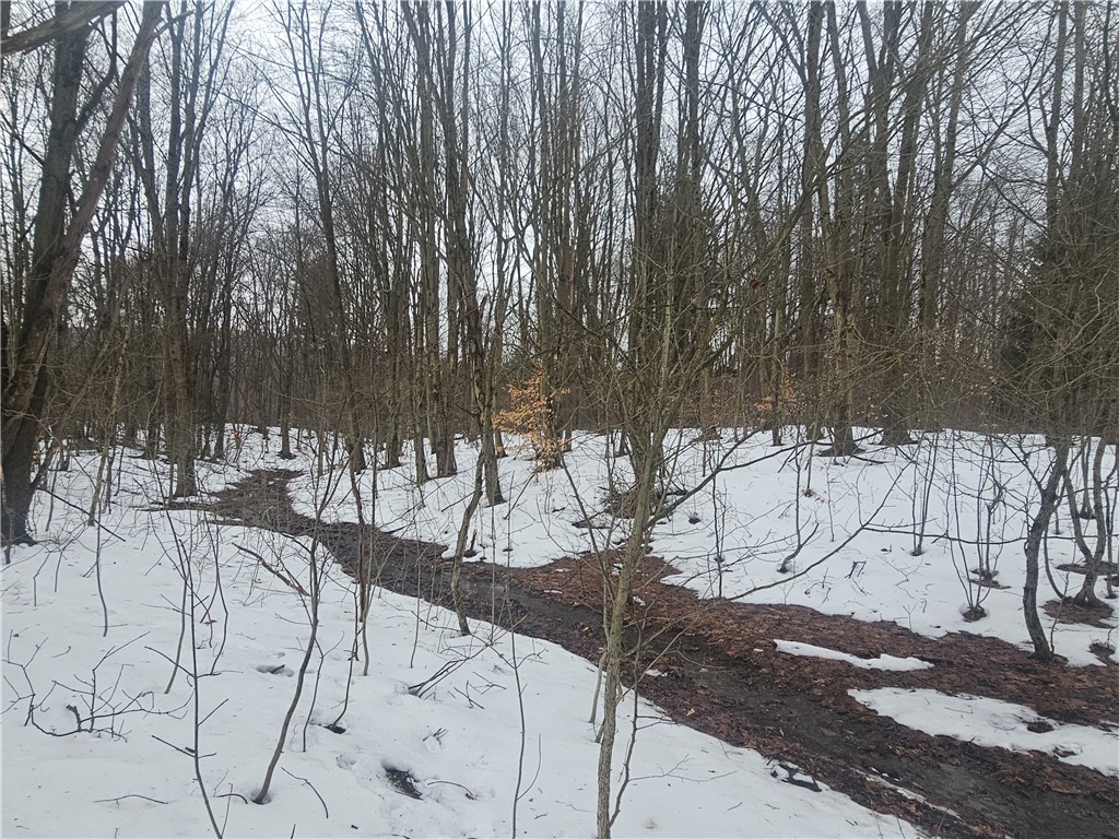 Bates Road Gerry, NY 14740 - Photo 10 of 14