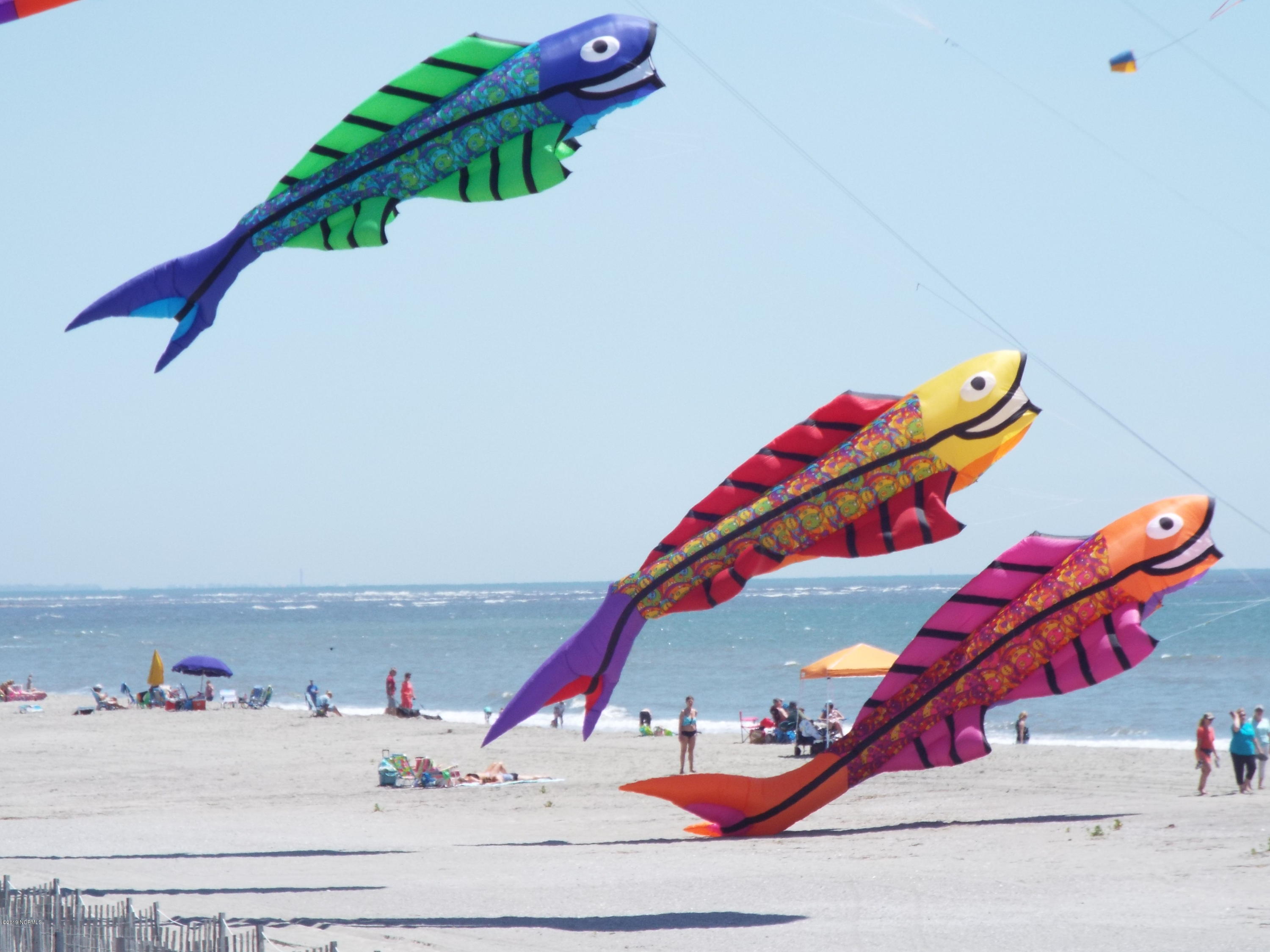 115 Genoe's Point Road Southwest Supply, NC 28462 - Photo 71 of 73 Giant Kites on the Beach