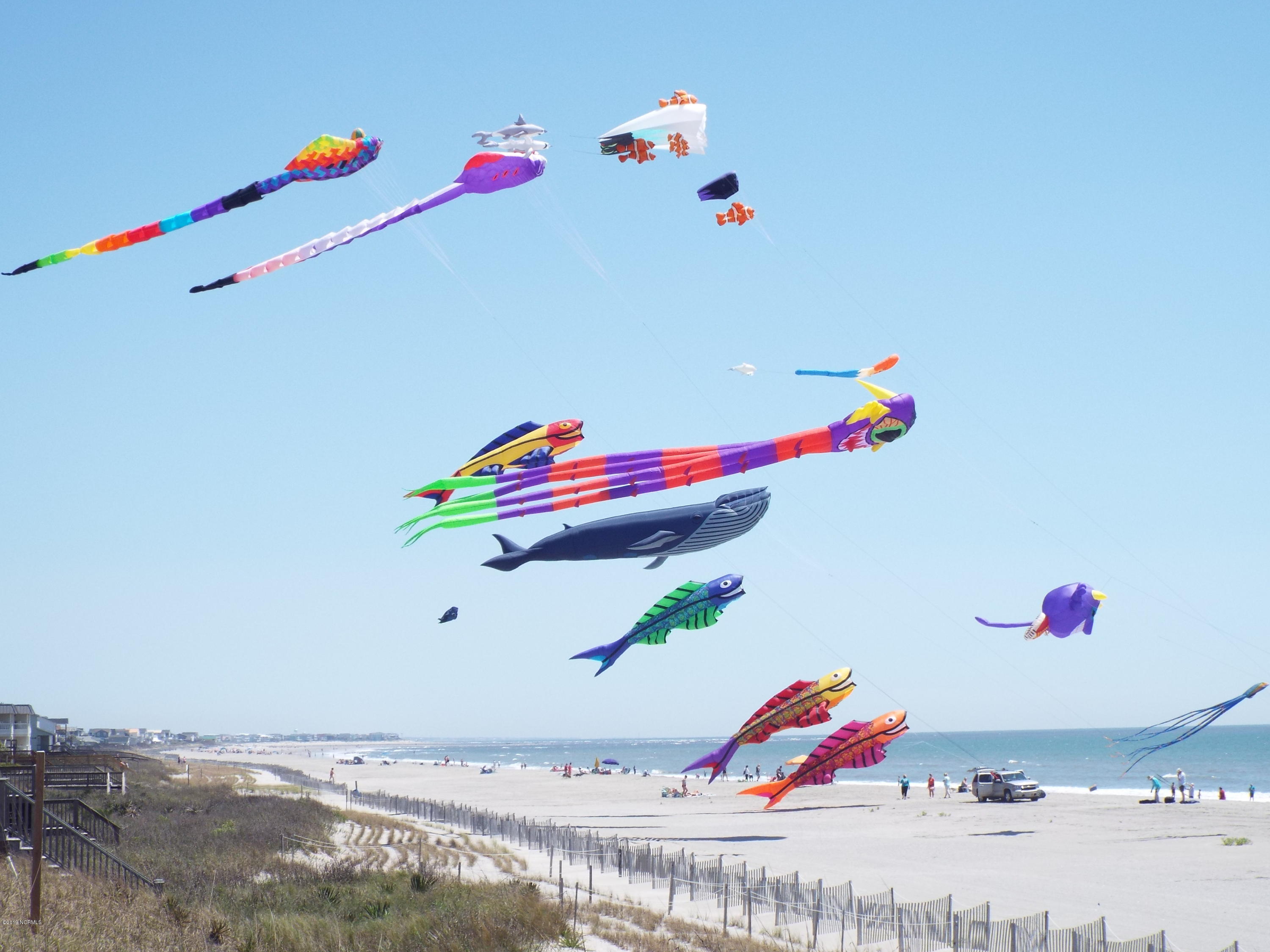115 Genoe's Point Road Southwest Supply, NC 28462 - Photo 72 of 73 More Kites