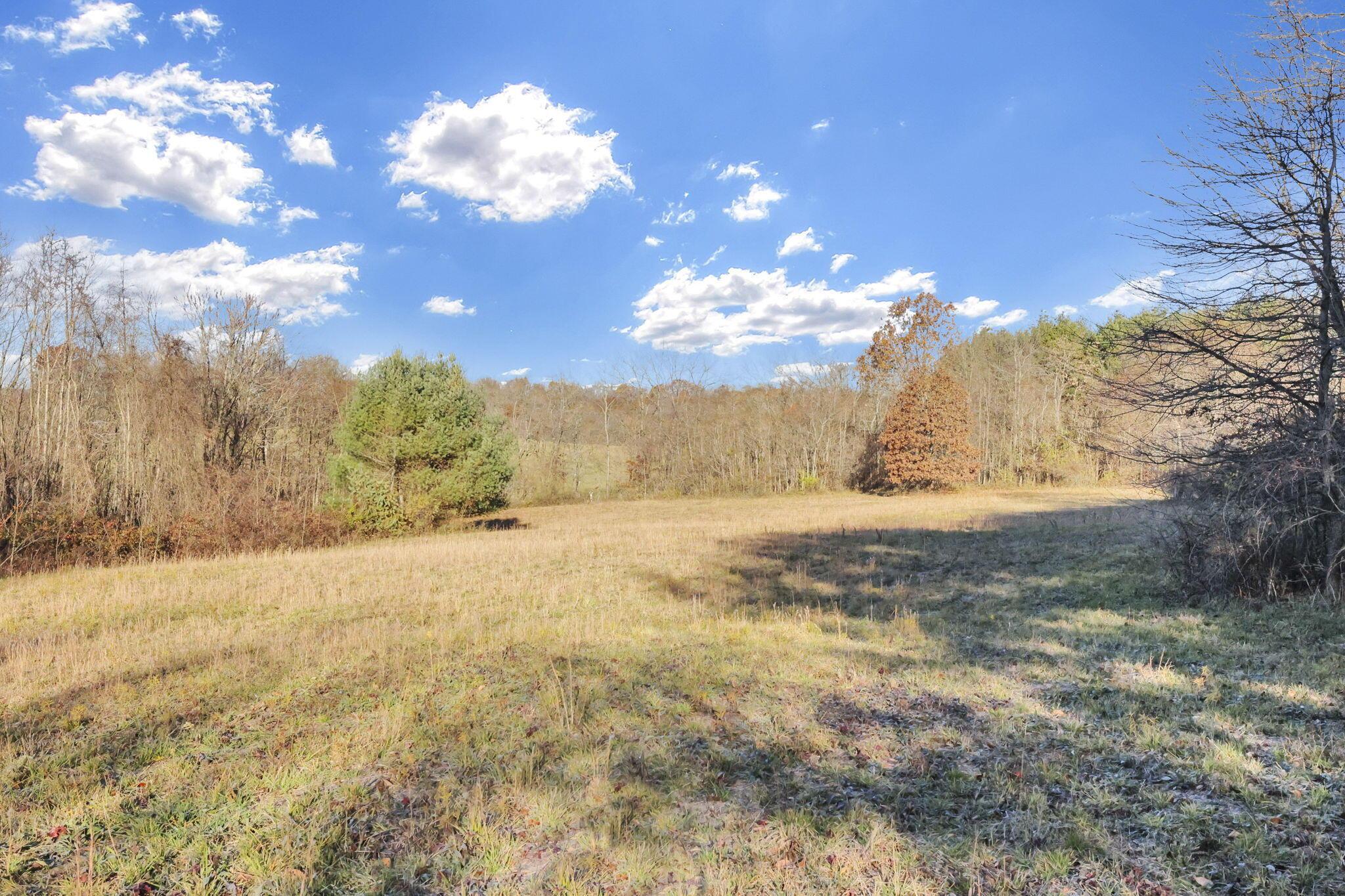 0 Mulberry Road Southeast Mount Perry, OH 43760 - Photo 8 of 9 9-web-or-mls-011A9828