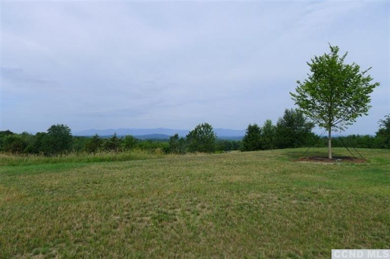 7 Catskill View Road Claverack, NY 12534 - Photo 3 of 9 a view of a field with trees in the background