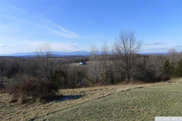 7 Catskill View Road Claverack, NY 12534 - Photo 4 of 9 a view of a yard