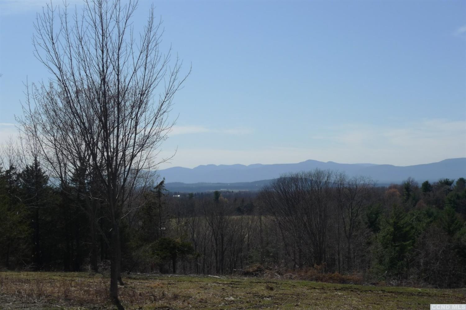 7 Catskill View Road Claverack, NY 12534 - Photo 5 of 9 a view of a backyard