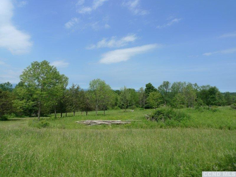 7 Catskill View Road Claverack, NY 12534 - Photo 6 of 9 a view of a grassy field