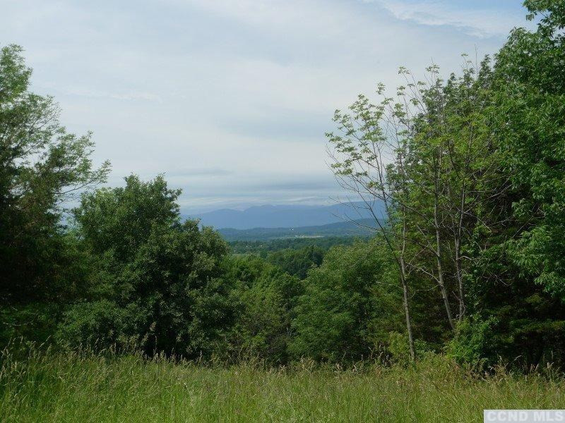 7 Catskill View Road Claverack, NY 12534 - Photo 7 of 9 a view of a yard