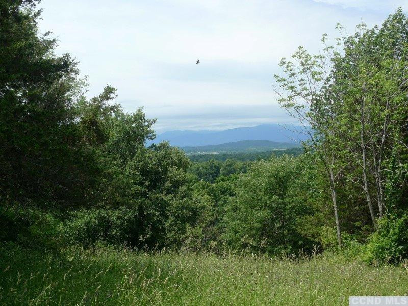 7 Catskill View Road Claverack, NY 12534 - Photo 8 of 9 a view of a yard
