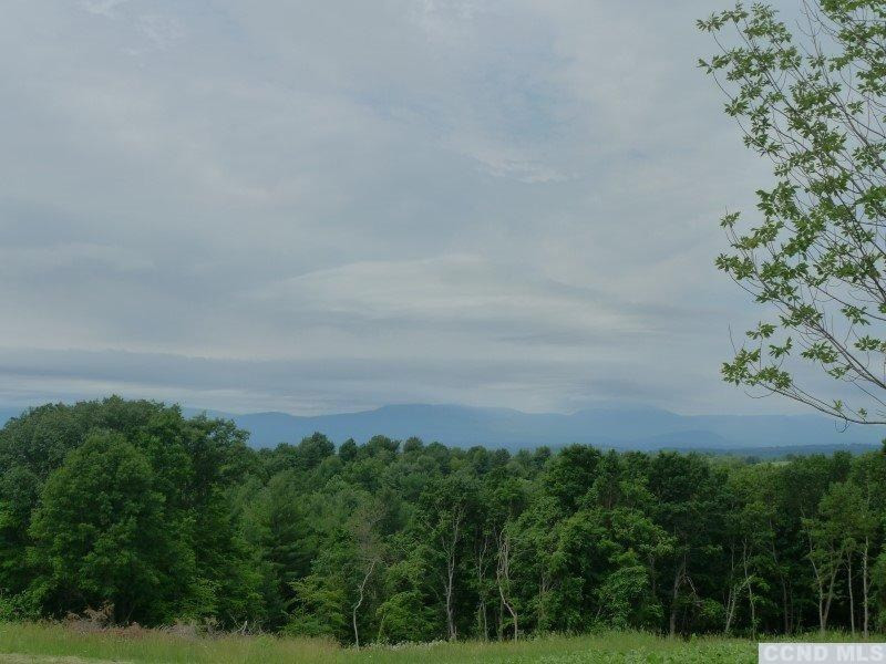 7 Catskill View Road Claverack, NY 12534 - Photo 9 of 9 a view of a field with a tree in the background