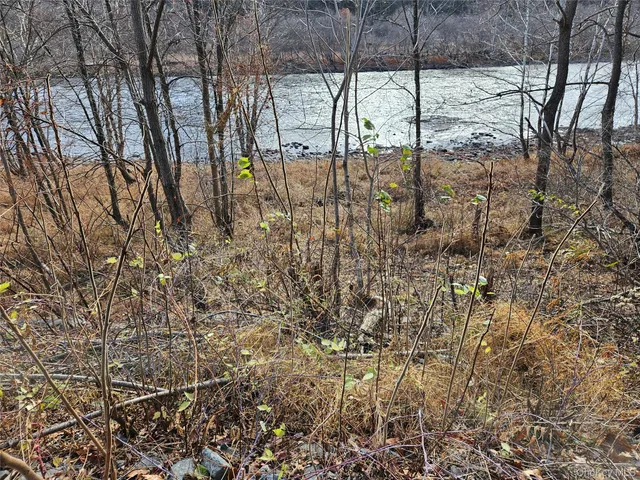 a view of yard with a tree