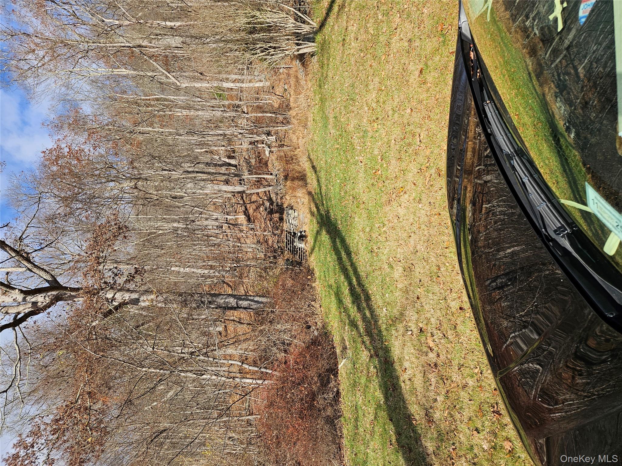 97 State Route Glen Spey, NY 12737 - Photo 3 of 8 a view of a yard with an outdoor space