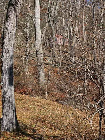 a view of a yard with large trees