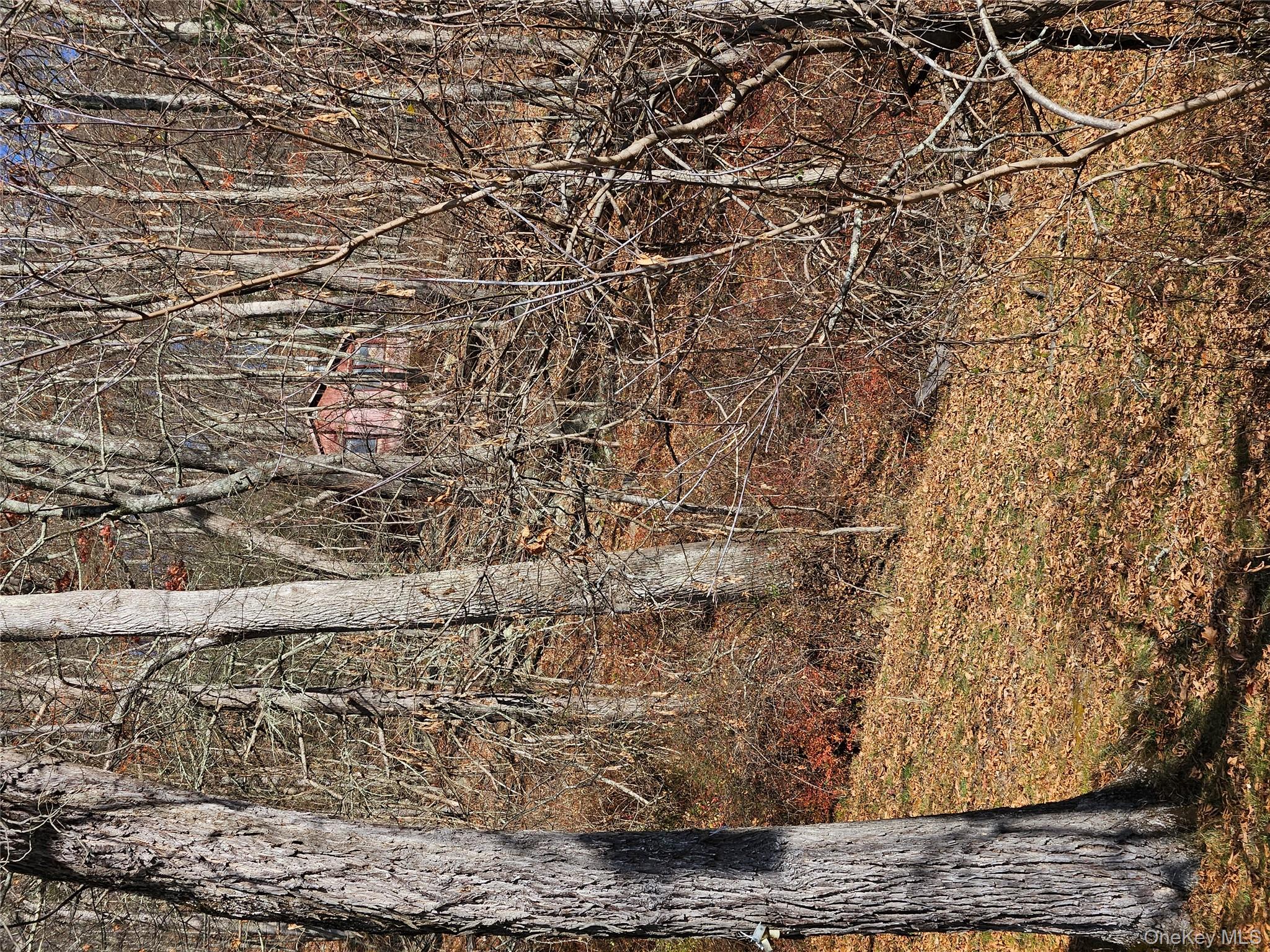 97 State Route Glen Spey, NY 12737 - Photo 4 of 8 a view of a yard with large trees