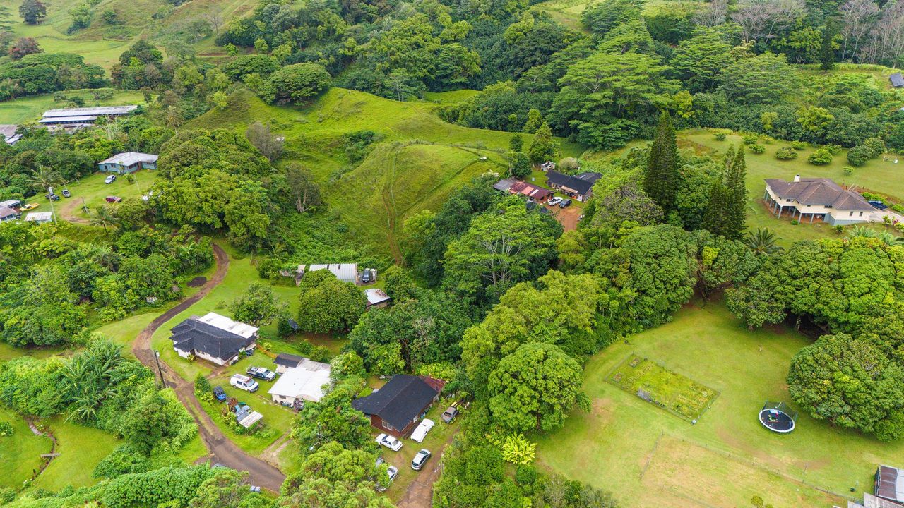 4373 Upa Road Koloa, HI 96756 - Photo 11 of 19 an aerial view of a residential houses with yard