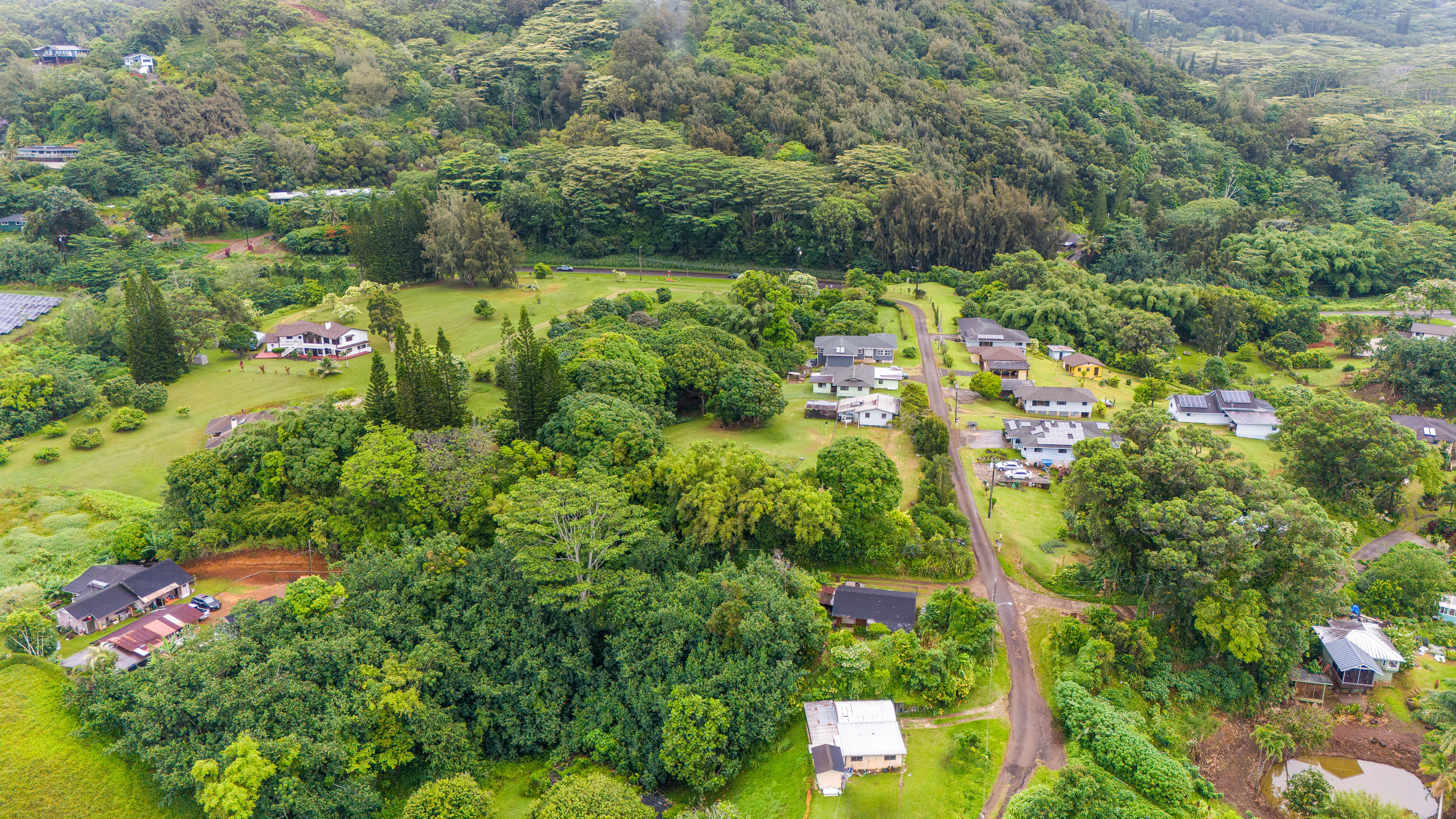 4373 Upa Road Koloa, HI 96756 - Photo 12 of 19 an aerial view of residential house with outdoor space and trees all around