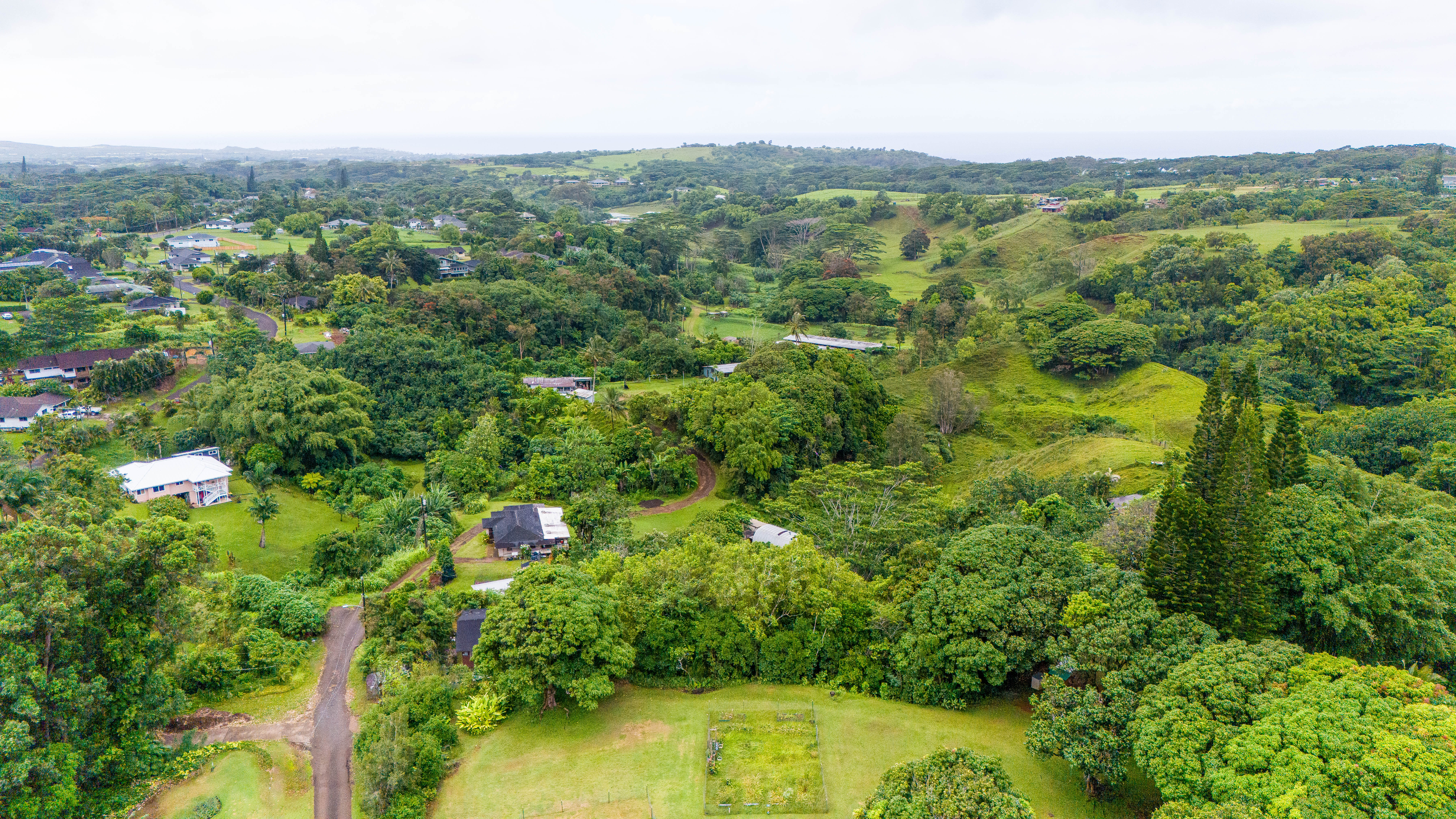 4373 Upa Road Koloa, HI 96756 - Photo 15 of 19 an aerial view of residential houses with outdoor space and trees
