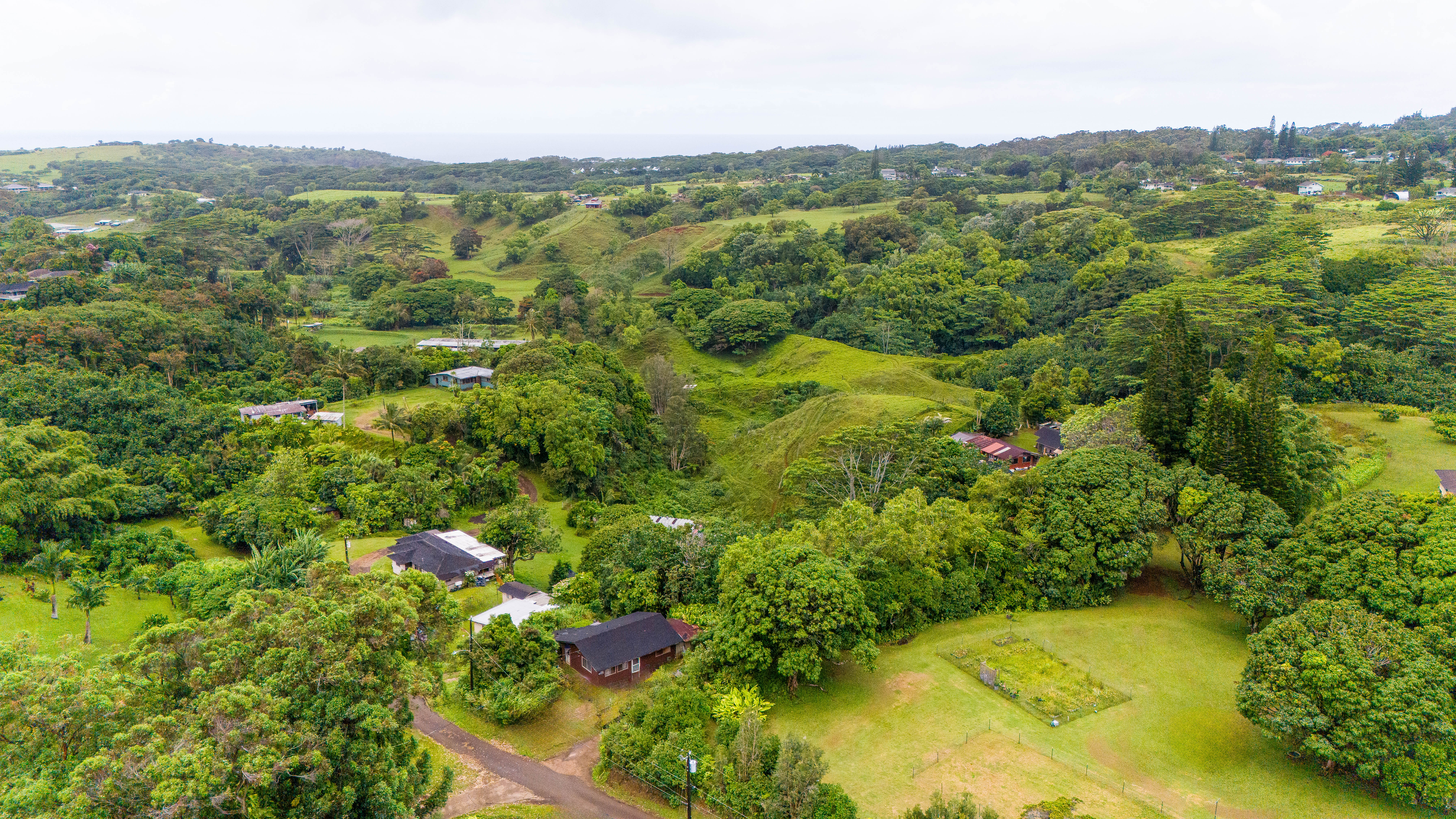 4373 Upa Road Koloa, HI 96756 - Photo 16 of 19 a view of a lot of trees and houses