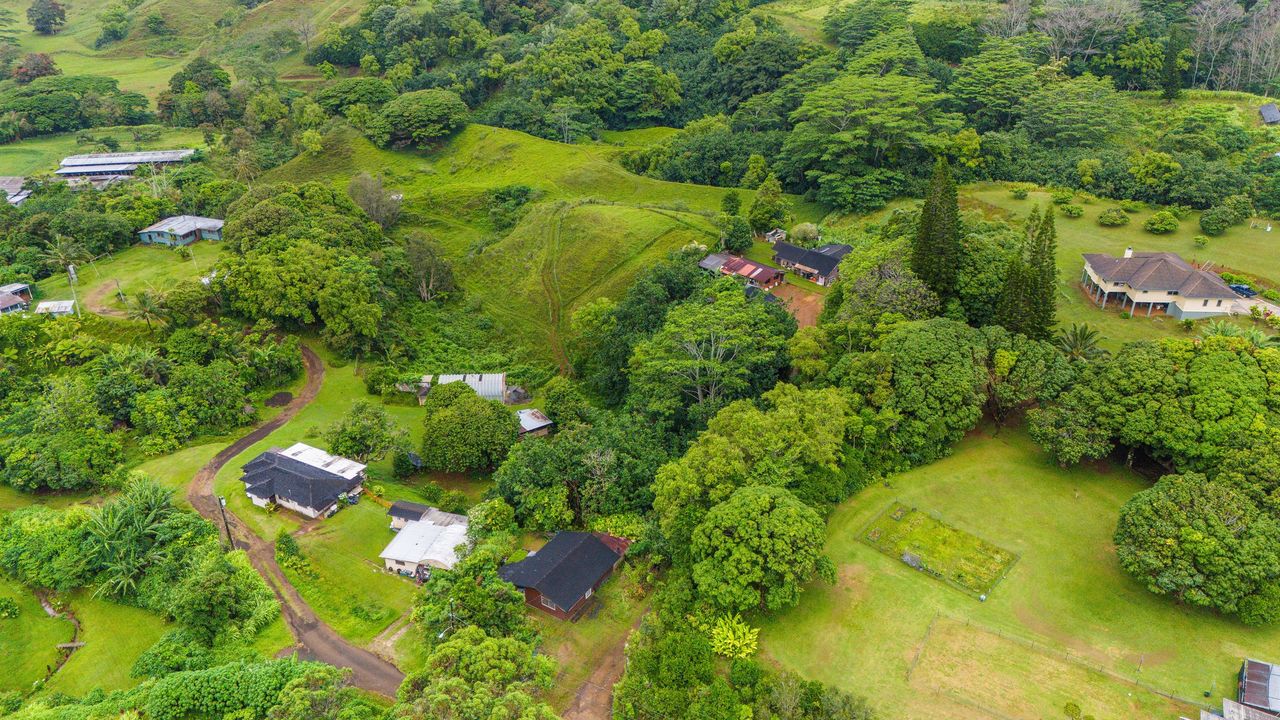 4373 Upa Road Koloa, HI 96756 - Photo 19 of 19 a view of a garden with plants
