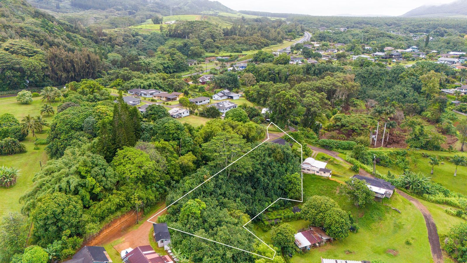 4373 Upa Road Koloa, HI 96756 - Photo 2 of 19 view of a city
