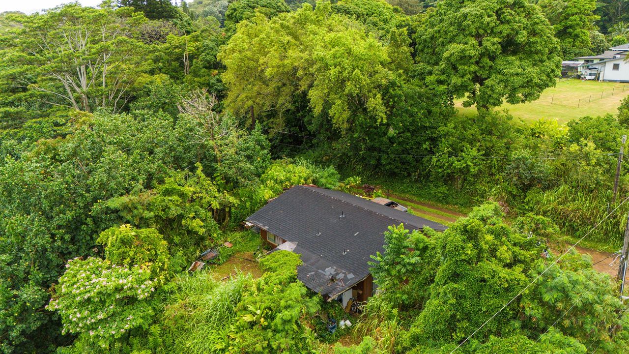4373 Upa Road Koloa, HI 96756 - Photo 9 of 19 an aerial view of a house with a yard