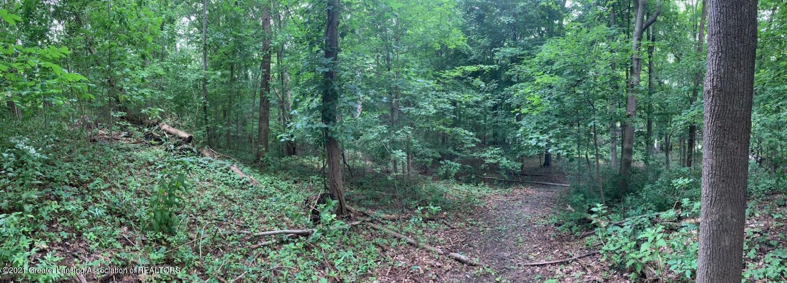 11689 Stoudt Road Muir, MI 48860 - Photo 39 of 49 photo woods