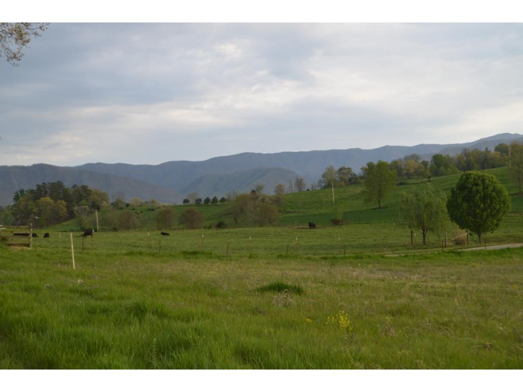 Lot #2 Forked Deer Road, Unit 2 Greeneville, TN 37743 - Photo 3 of 3 Photo 3