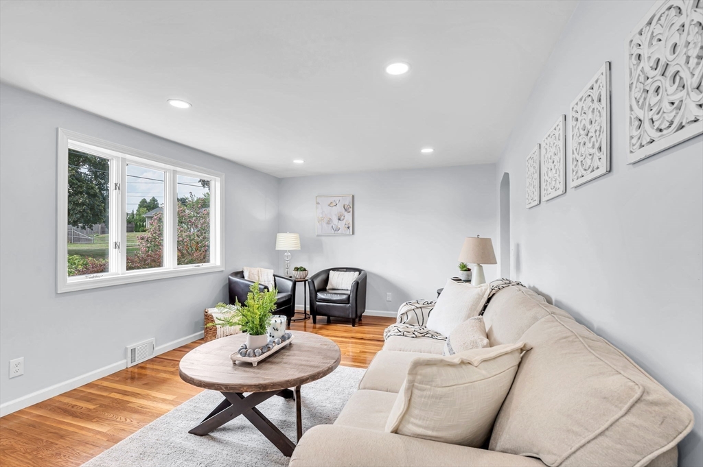 13 Lorimer Street Chicopee, MA 01013 - Photo 9 of 42 a living room with furniture and a potted plant