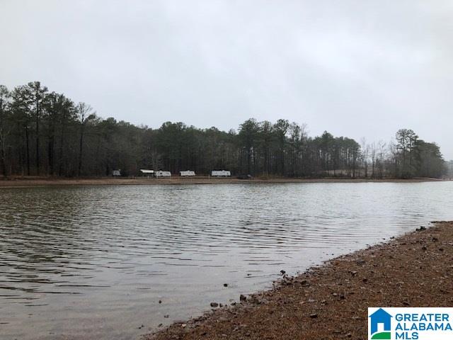 0 Lakeside Lane, Unit 31 Alpine, AL 35014 - Photo 16 of 42